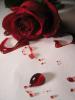 Bleeding rose