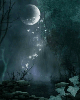 fairy moon