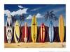 Surf Boards Galore-art