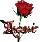red rose aari