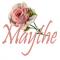  Maythe Rose