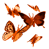 batterfly