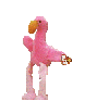 ty flamingo dancing