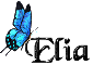Blue Butterfly - Elia