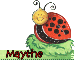 Lady Bug - Maythe