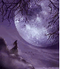Purple Moon Ani