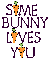 some bunny loves you