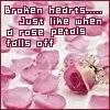 broken hearts and rose petals