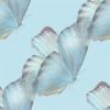 niebieskie motyle - blue butterfly