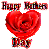 Happy Mothers Day- Red Rose