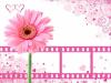 flower and film clips