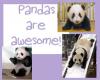 Pandas are awesoeme!