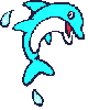 Dolphin Flipping