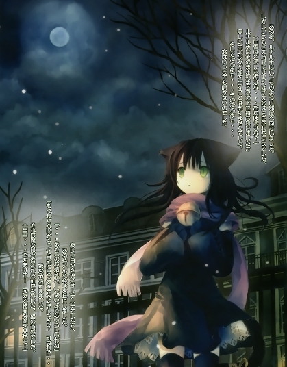 Neko in the night