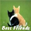 Best Friends Kitties