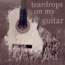 Teardrops on my guitar*Taylor Swift