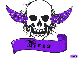 kris purple skull