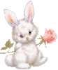 bunny with rose
