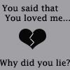 Why did you lie