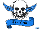 jo beth blue skull