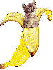 Banana Kitten