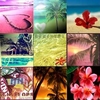 summer icons