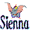 Sienna - Dumbo
