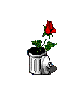 Flowers in a trashcan