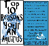 Top 10 Reasons You're an Aquarius