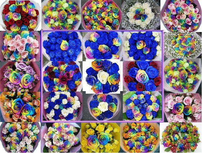 Mixed Happy Roses