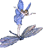 blue fairy on dragonfly