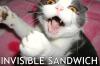 invisible sandwish