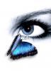 Blue Eyed Butterfly
