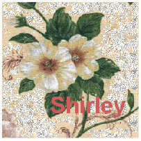 Shirley