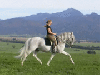 Riding a horse