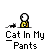 cat in me pants