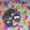 shh...the kitty is SLEEPING