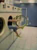 Girl Coming Out Of Washer??