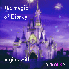The Mgic of Disneyland