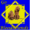Go Bloodhounds