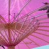 pink umbrella design