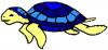 swimming turtle blue