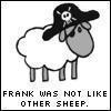 Pirate sheep