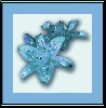 Blue Lillies