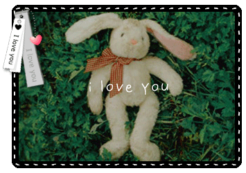 BUNNY PIC