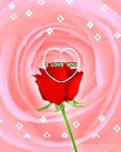 i love you : rose