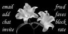 White Lillies