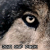 Join our pack