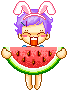 Watermelon Eat