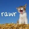 Kitty - Rawr